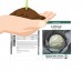 Cabbage Seeds - Golden Acre - 1 Oz - Non-GMO, Heirloom, Open Pollinated - Vegetable Garden, Micro Greens   565432891